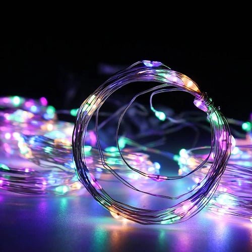 2 PC LED String Light ~ Mitch's Backyard