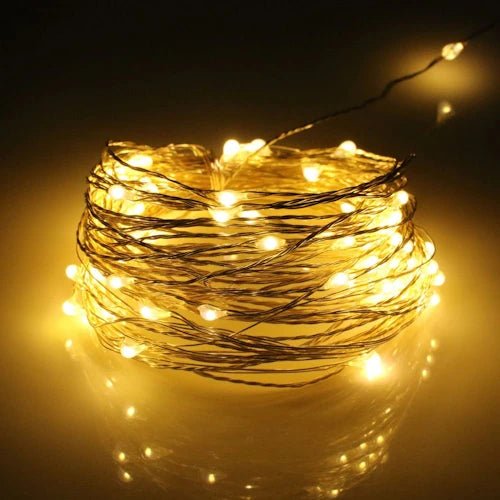 2 PC LED String Light ~ Mitch's Backyard