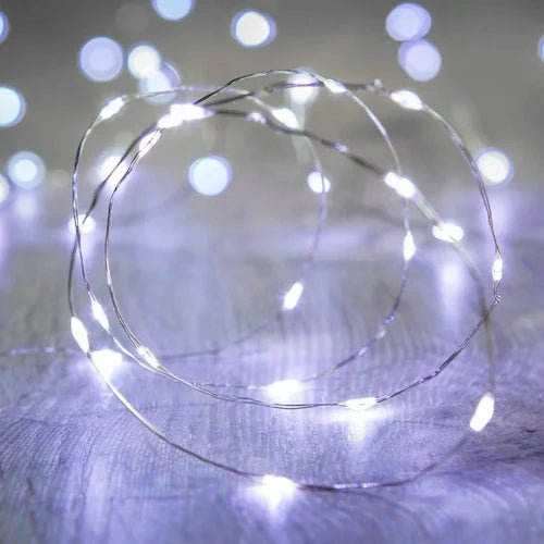 2 PC LED String Light ~ Mitch's Backyard