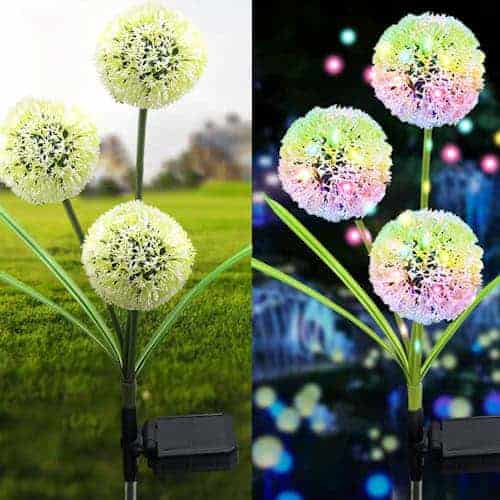 2 LED Solar Dandelion Garden Light Set ~ Mitch's Backyard