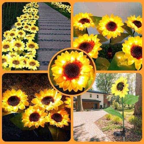 2 Solar LED Sunflowers Garden Lights ~ Mitch's Backyard