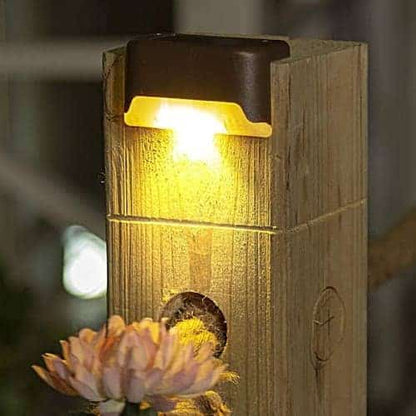 4 LED Solar Light Set ~ Mitch's Backyard