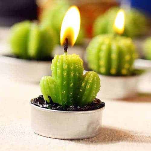 6 PC Unique Cactus Candle Set ~ Mitch's Backyard