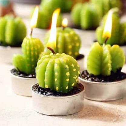 6 PC Unique Cactus Candle Set ~ Mitch's Backyard