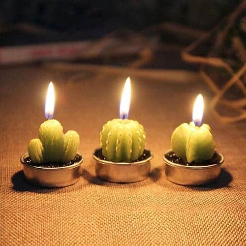 6 PC Unique Cactus Candle Set ~ Mitch's Backyard