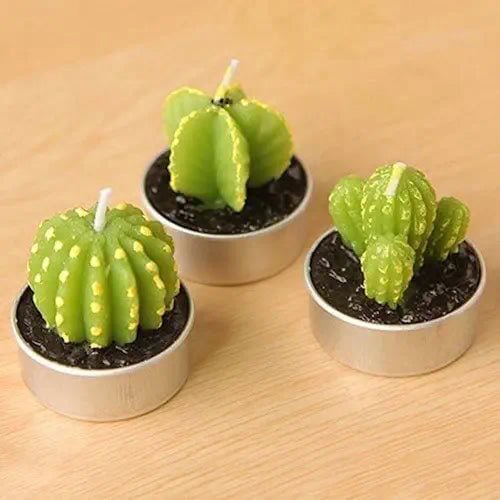 6 PC Unique Cactus Candle Set ~ Mitch's Backyard