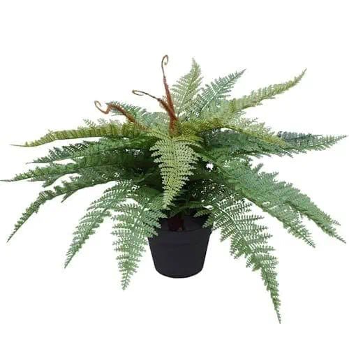 Artificial Potted Fishtail Fern ~ Mitch's Backyard