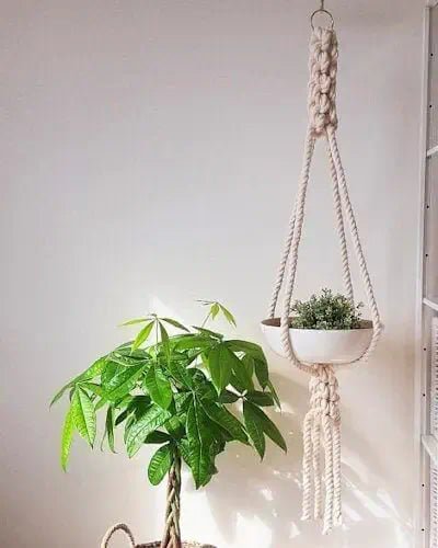 Large Macrame Plant Hanger / Pot Holder ~ Mitch's Backyard