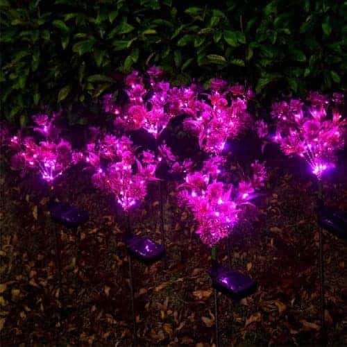 2 LED Solar Phalaenopsis Garden Light ~ Mitch's Backyard